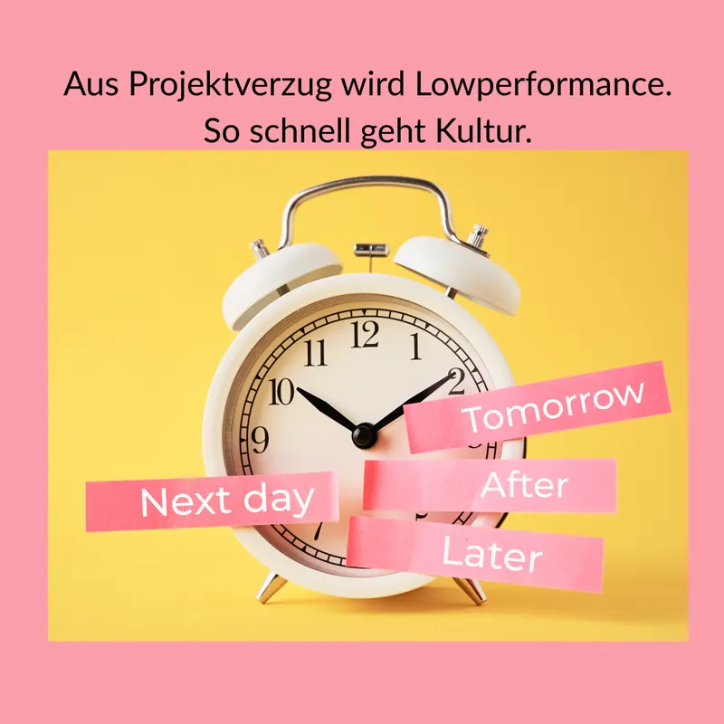 Sechs Codes, ein Satz. Wie Kultur entscheidet, bevor du entscheidest.